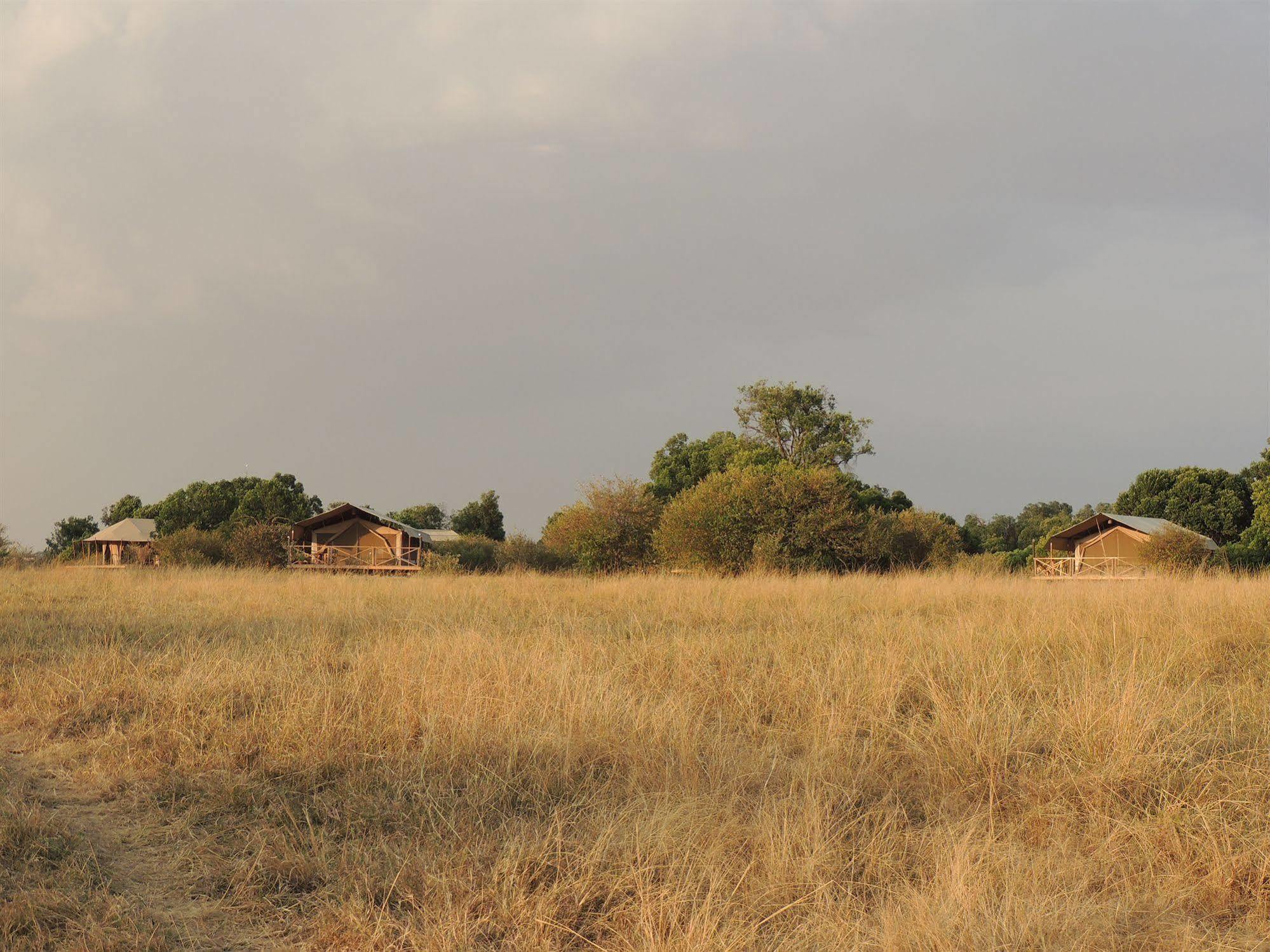 מלון טאלק Loyk Mara Camp מראה חיצוני תמונה