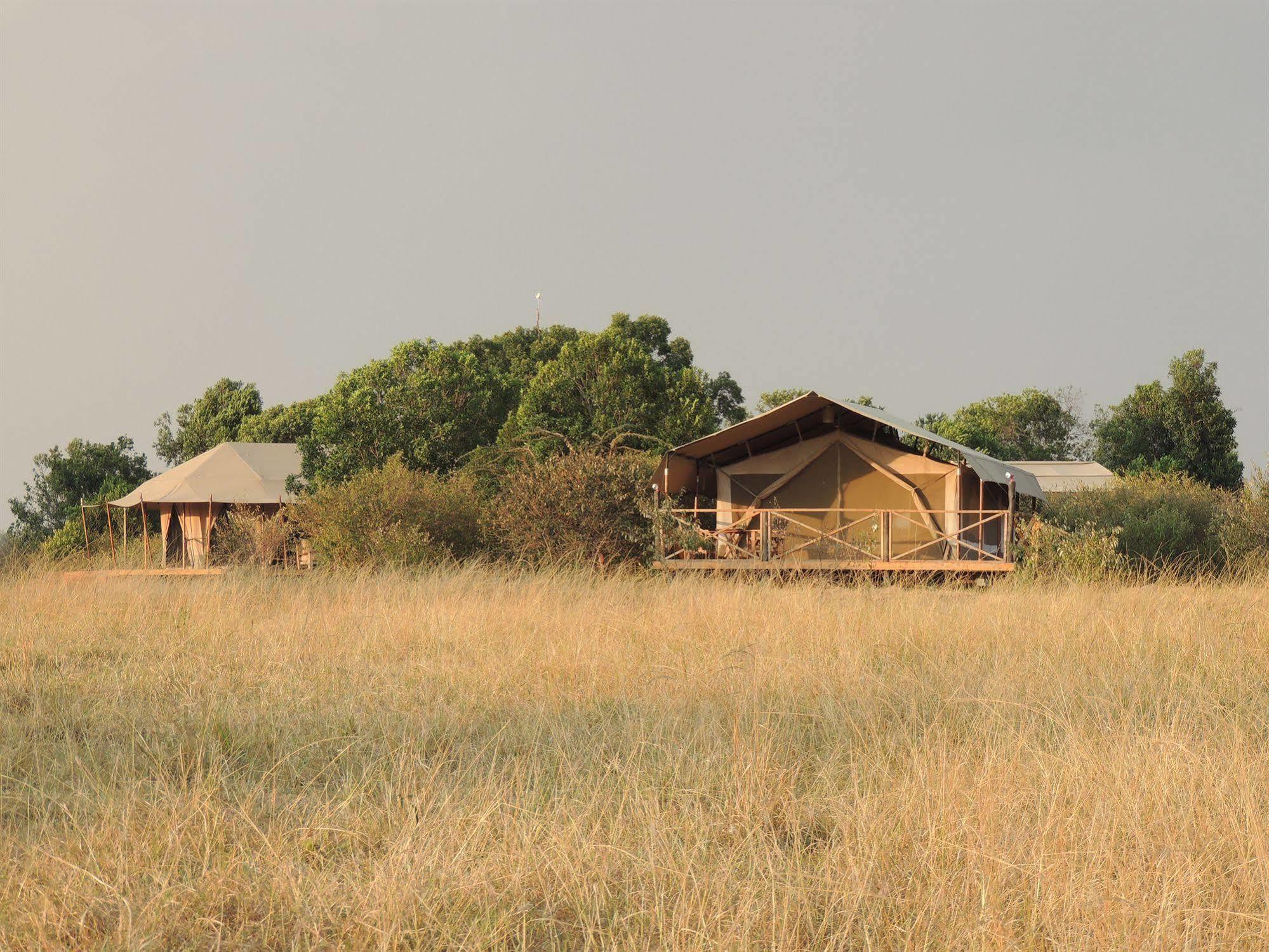 מלון טאלק Loyk Mara Camp מראה חיצוני תמונה