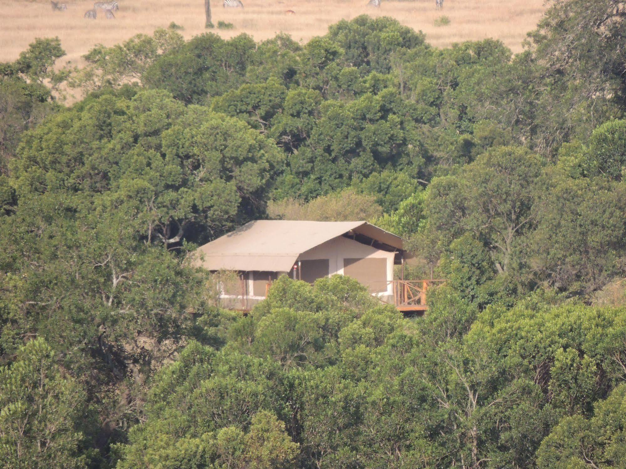 מלון טאלק Loyk Mara Camp מראה חיצוני תמונה
